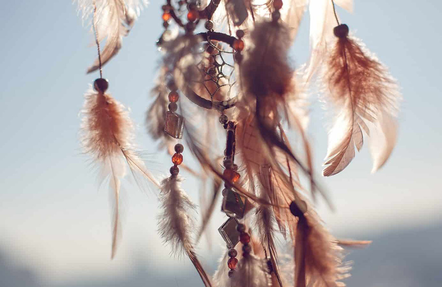 پرها و مهرههای دریم کچر