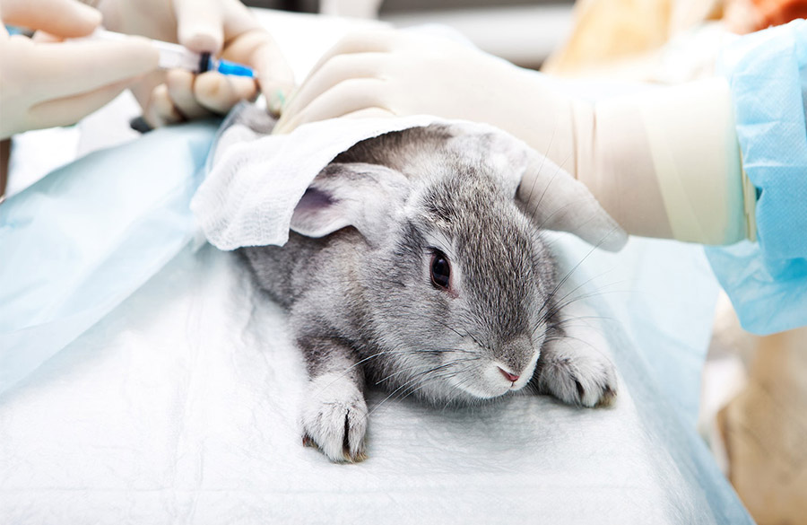 لوازم آرایشی کرولتی فری