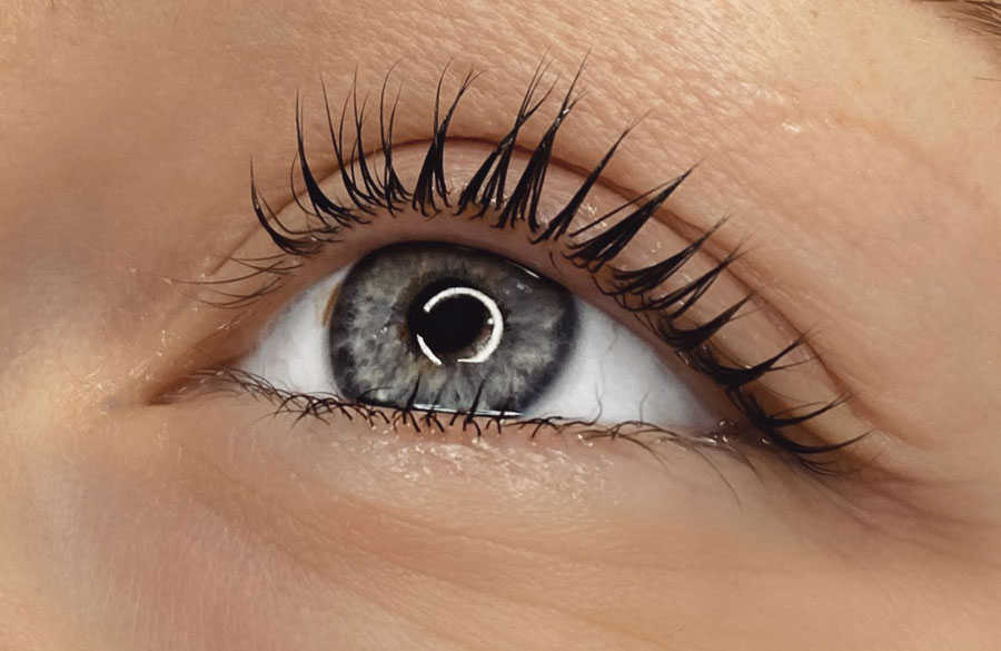 زیبایی مژه ها