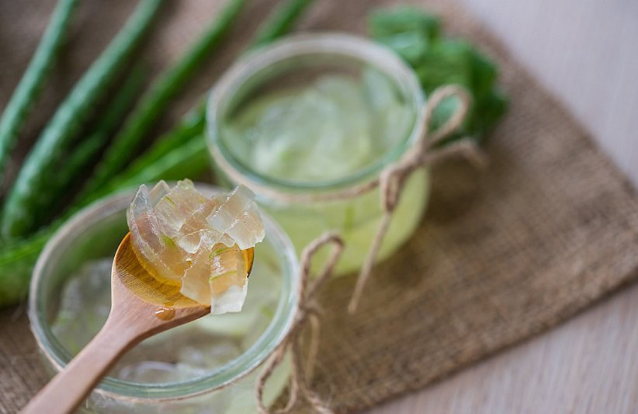 آلوئهورا برای درمان جای جوش