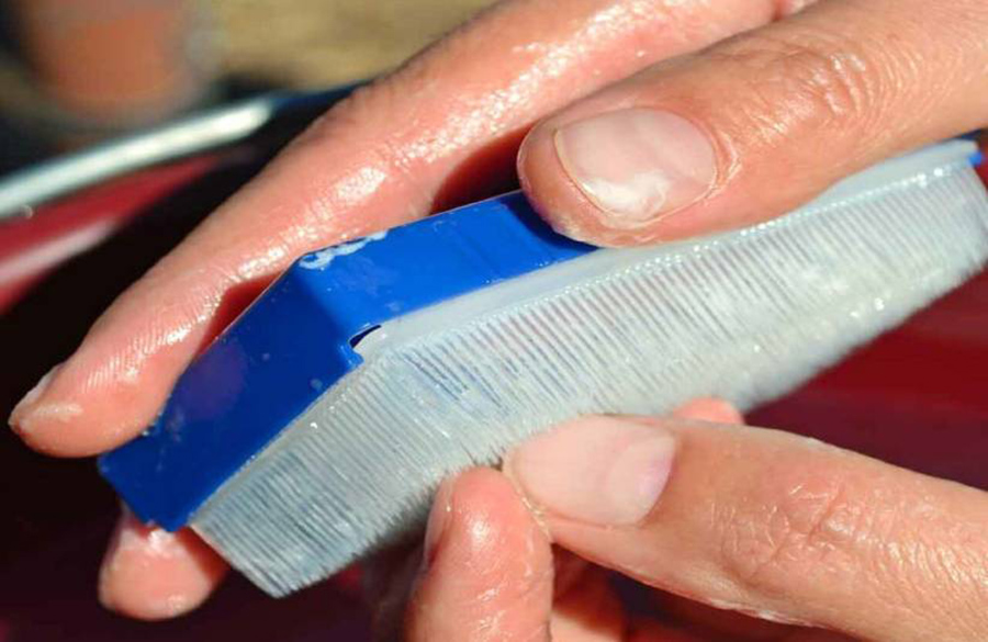 بهداشت ناخنها