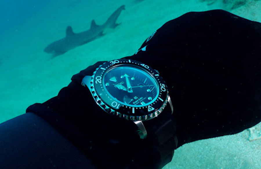 ساعت غواصی سیکو