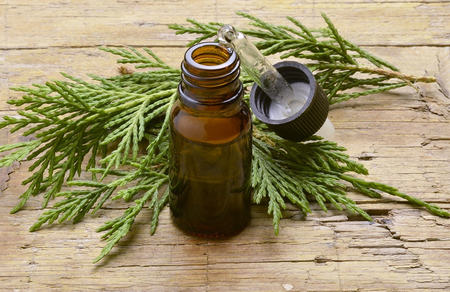 روغن درخت سرو