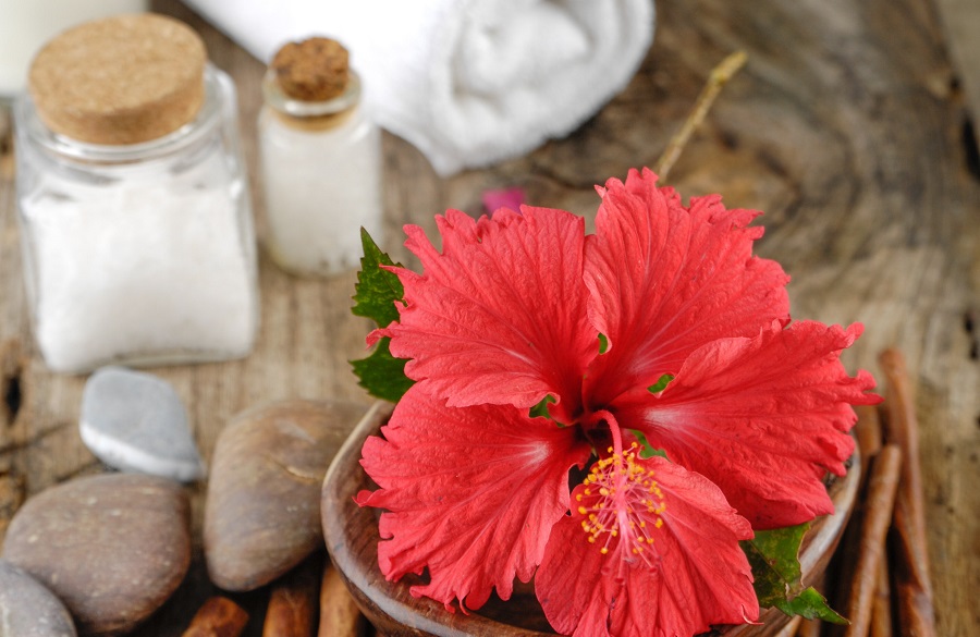 روش استفاده از چای ترش برای مو