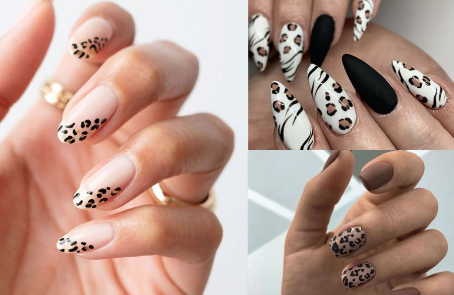 طرح ناخن پترن حیوانات