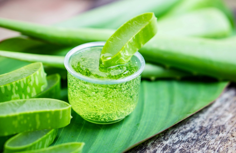 هشدار درباره استفاده از آلوئه ورا
